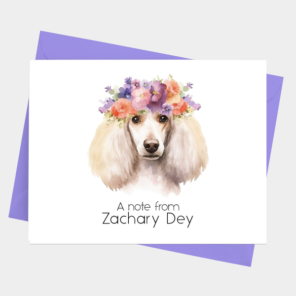 Poodle Note Cards